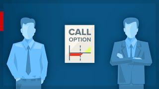 Hedging a Long Stock Position with Options