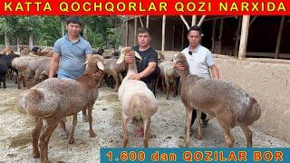 150-ta Daxshat QOCHQORLAR KELDI SHOSHILING 88-683-50-50  50-007-37-94