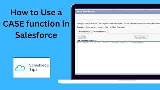 How to Use a CASE function in Salesforce