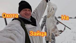 охота на зайца