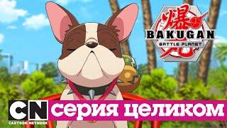 Бакуганы: Нерушимый альянс | Битва за популярность (серия целиком) | Cartoon Network