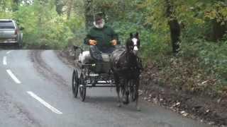 First time in a carriage; breaking a pony to drive: what we do and why we do it.