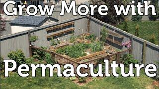 How I use Permaculture Principals to Grow More Food my Small Garden