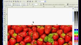 Лучшие Видеоуроки Corel DRAW X3. Урок № 62.