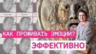 Как справляться с сильными эмоциями? [ПРИРОДА ЭМОЦИЙ]