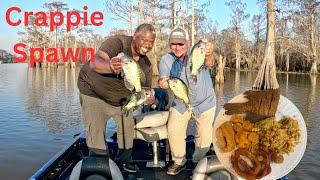 Crappie Spawn In The Atchafalaya Basin (Catch*Cook) Fried Sac-a-lait , Shrimp & Crawfish Casserole