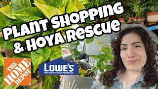 PLANT SHOPPING & HOYA RESCUE!! Home  Depot & Lowe's in Manchester, NH 