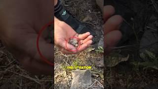 Compassion for Wildlife: Rescuing a Tick-Infested kangaroo #shorts #AnimalRescue #Compassion