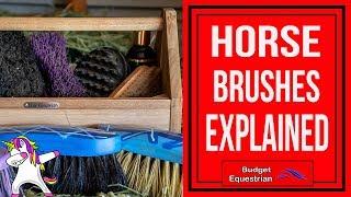 Horse Brushes Explained