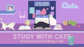 Study with Cats  Pomodoro Timer 25/5 x Animation | Chillhop | For studying / working / coding etc