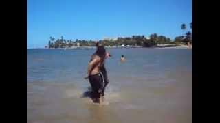 The Chicken Killer DDT