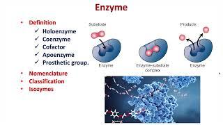 Enzyme | Holoenzyme | Coenzyme | Cofactor | Classification of Enzyme | Nomenclature | Isozyme