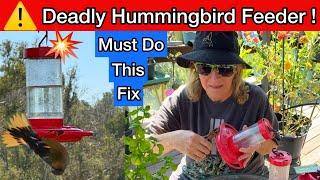 BIG Warning on Hummingbird Feeder  Please Check to if You are Using this Type for Your Hummingbirds