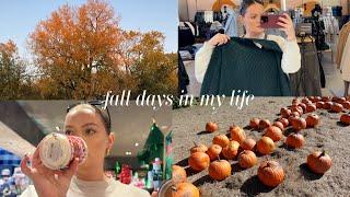 FALL VLOG  shop with me, sephora haul, apple orchard, cozy october days in my life