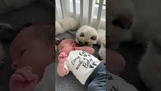 He's going to be a future cat dad
