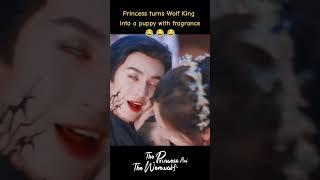 She makes the wolf king her pet#chenzheyuan #wuxuanyi #theprincessandthewerewolf #shorts