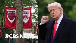 Trump seeks to end all federal contracts with Harvard