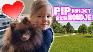 PIP HEEFT EEN OPPAS HONDJE !