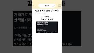 당근 강아지 산책 알바 후기