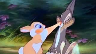 Thumper in love