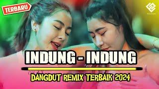 INDUNG INDUNG  || DANGDUT REMIX TERBAIK 2024 || REMIX TERBARU