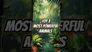 Top 3 most POWERFUL animals! #top3 #animals #shorts