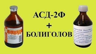 АСД 2Ф + болиголов. Аналитика употребления. 6 лет опыта.