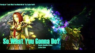 So What You Gonna Do [WoW Parody] - Kavo & Ceschiia