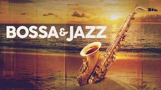 BOSSA & JAZZ - Cool Music 2024 