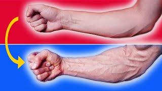 How to Get Bigger, More Vascular Forearms (30 DAYS)