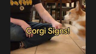 Corgi Signs!