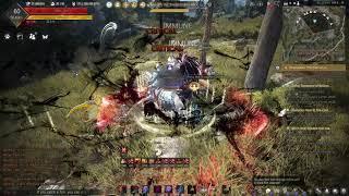 BDO skill point grinding spot