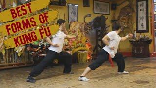 TOP 5 KUNG FU STYLES & THEIR SIGNATURE FORMS