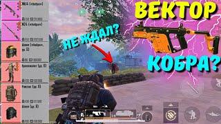 ВЕКТОР КОБРА - БЫСТРО И БОЛЬНО?! В НОВОМ METRO ROYALE 2.0 / PUBG MOBILE / МЕТРО РОЯЛЬ