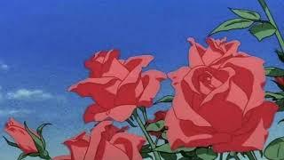 (SOLD) Jazz Lofi Type Beat - "Bouquet"