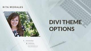 The Divi Theme Options