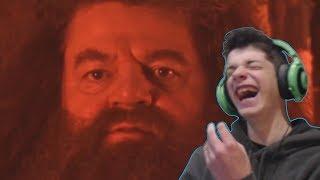 Reacting to YTP: Mad Hagrid | WHAT YOU'VE ALL BEEN WAITING FOR!