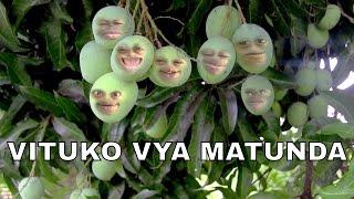 Safari ya Mau Mpemba na Mihogo inaendelea hapa-Mambo Sio mchezo