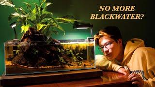 My Betta Blackwater Peace Lilly Water Fall tank - 1 Month Later (Fail?)