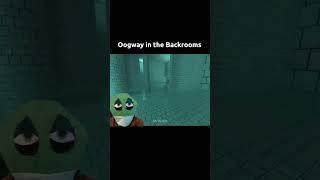 Oogway in the Backrooms #backrooms #gameplay #shorts