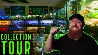 NEW Exotic Animal Room REVEAL Tarantulas, Geckos, Snakes & Scorpions