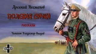 Несмелов Арсений – «Полевая сумка». Рассказы (2 часть из 2). Читает Владимир Князев