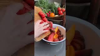 Tomato Salad Recipe