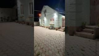 Гостиница для собак Полтава в ночное время #питомниксобак #передержкасобак #перетримкасобак #собаки