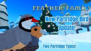 New Partridge Bird in Feather Family!