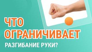 ​​ Что ограничивает разгибание руки в локтевом суставе?