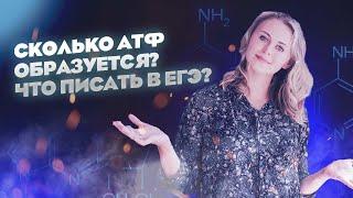 Сколько АТФ синтезируется? Что писать в ЕГЭ? | Биология ЕГЭ 2022