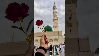 Noor wala aaya ha#naat#naatstatus # masjidnabwi#short