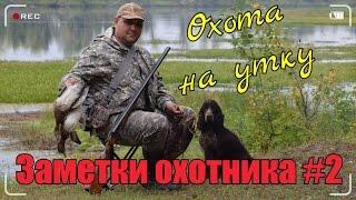 Охота. Заметки охотника #2. За уткой с русским спаниелем. ИЖ-26. Hunting in russia