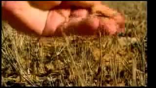 The End of Suburbia - documentary on peak oil